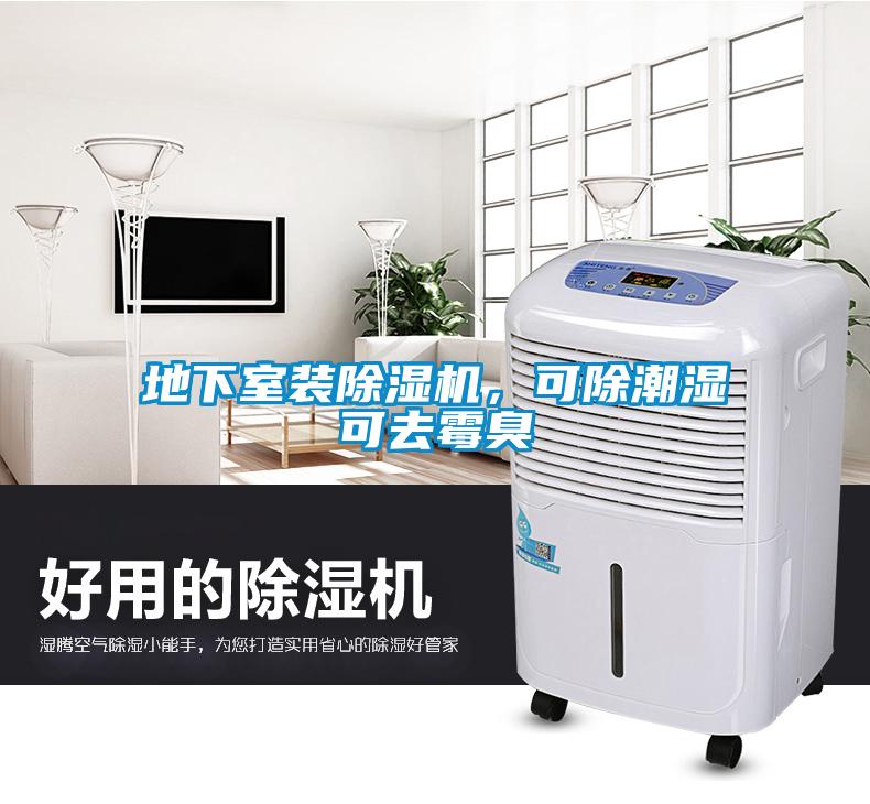 地下室裝除濕機(jī)，可除潮濕可去霉臭
