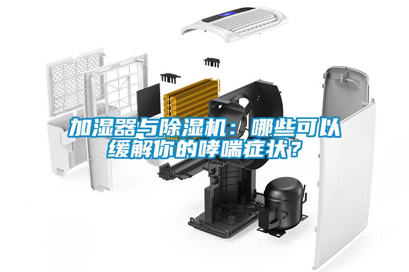 加濕器與除濕機：哪些可以緩解你的哮喘癥狀？