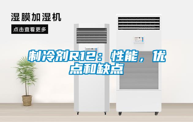 制冷劑R12：性能，優(yōu)點和缺點