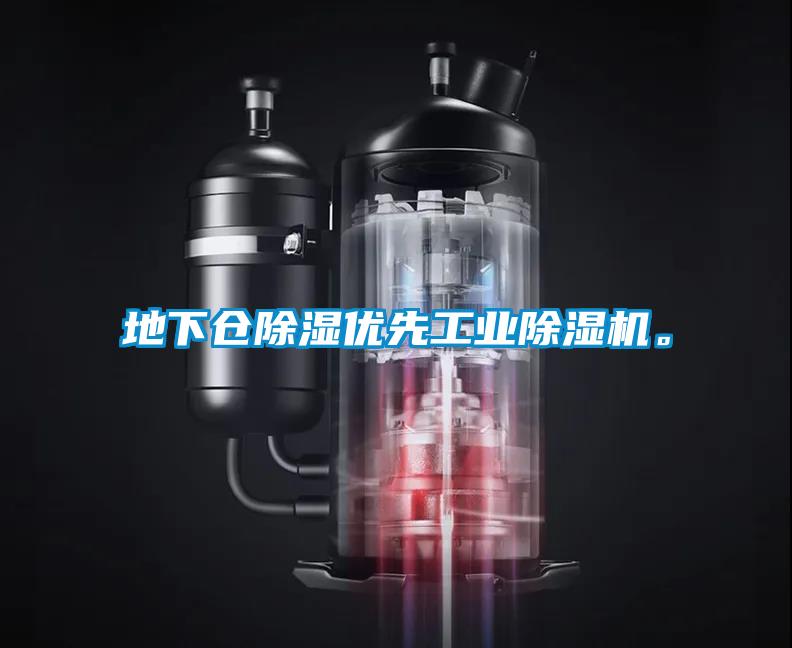 地下倉(cāng)除濕優(yōu)先工業(yè)除濕機(jī)。