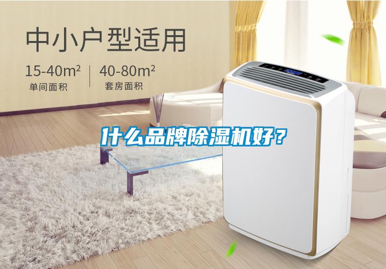 什么品牌除濕機好？