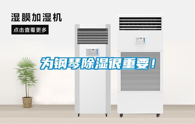為鋼琴除濕很重要！
