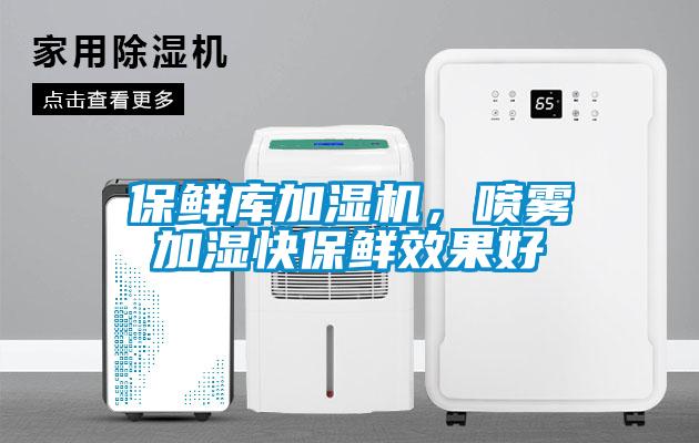 保鮮庫(kù)加濕機(jī)，噴霧加濕快保鮮效果好