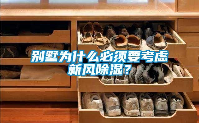 別墅為什么必須要考慮新風除濕？