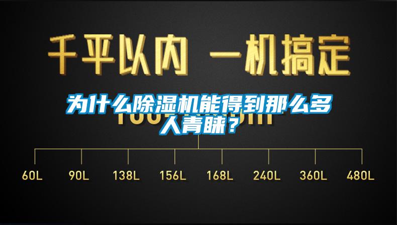 為什么除濕機能得到那么多人青睞？