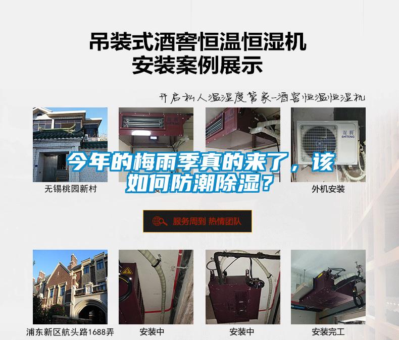 今年的梅雨季真的來了，該如何防潮除濕？