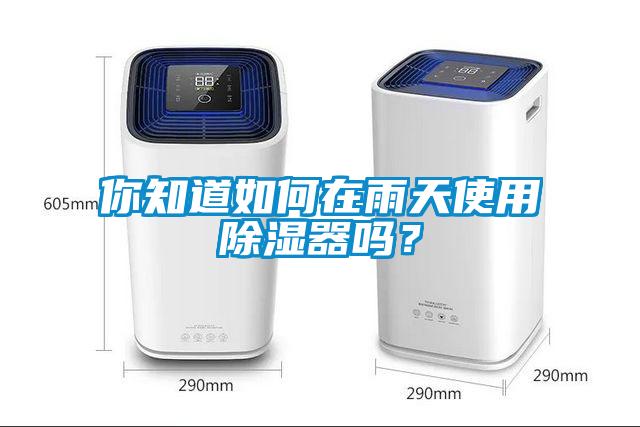 你知道如何在雨天使用除濕器嗎？