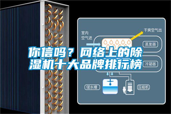 你信嗎？網絡上的除濕機十大品牌排行榜