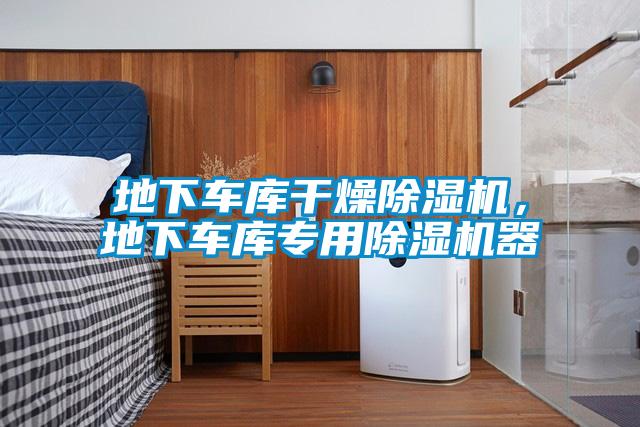 地下車庫干燥除濕機(jī)，地下車庫專用除濕機(jī)器