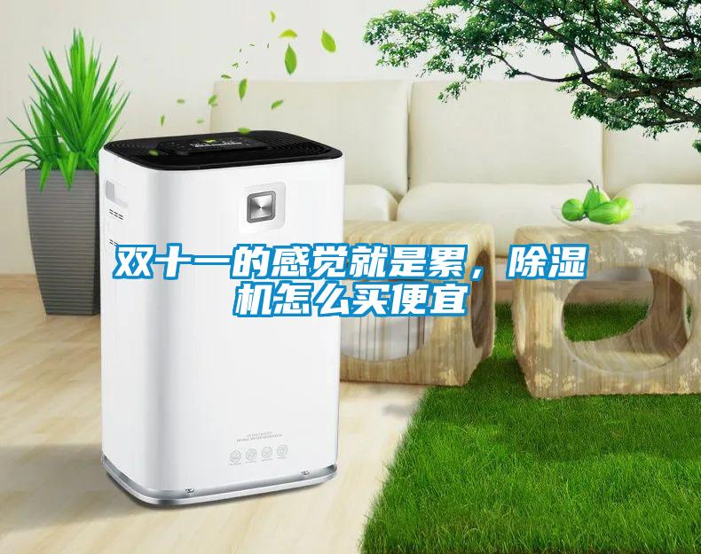 雙十一的感覺就是累，除濕機怎么買便宜