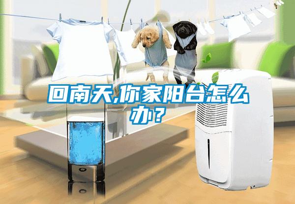 回南天,你家陽(yáng)臺(tái)怎么辦？