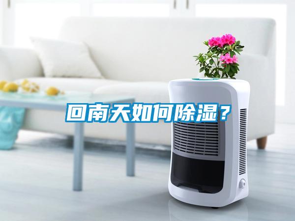 回南天如何除濕？