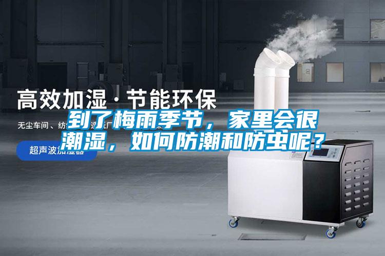 到了梅雨季節(jié)，家里會(huì)很潮濕，如何防潮和防蟲呢？