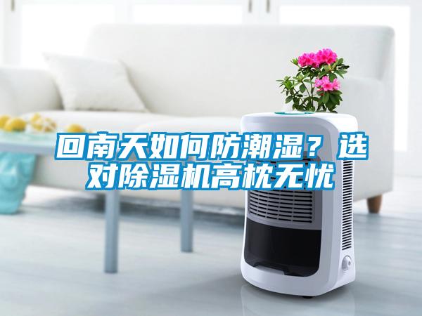 回南天如何防潮濕？選對除濕機高枕無憂