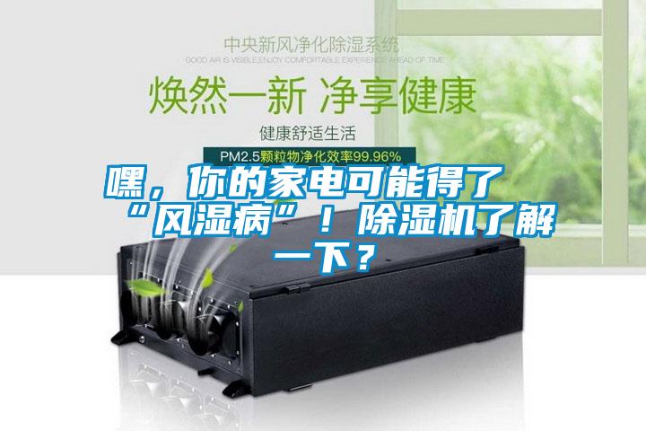 嘿，你的家電可能得了“風濕病”！除濕機了解一下？