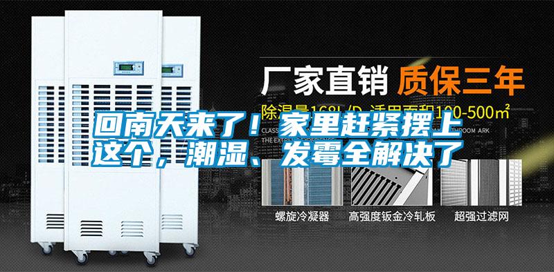 回南天來了！家里趕緊擺上這個，潮濕、發(fā)霉全解決了