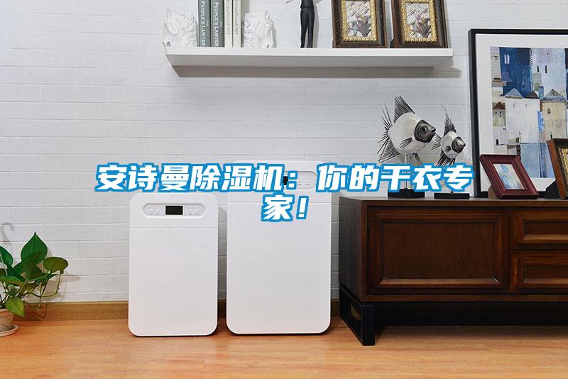 安詩曼除濕機(jī)：你的干衣專家！