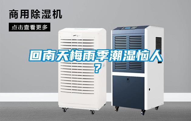 回南天梅雨季潮濕惱人？