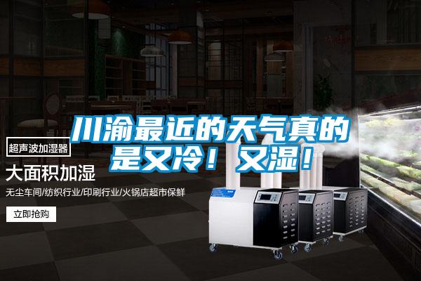 川渝最近的天氣真的是又冷！又濕！