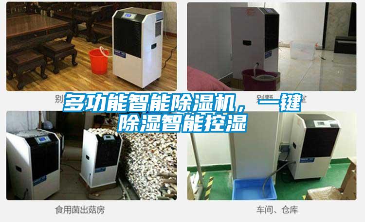 多功能智能除濕機，一鍵除濕智能控濕