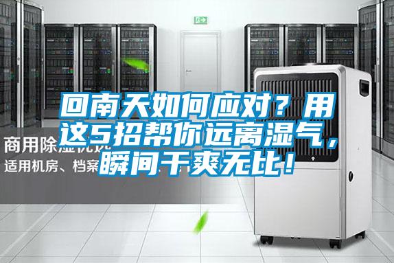 回南天如何應(yīng)對(duì)？用這5招幫你遠(yuǎn)離濕氣，瞬間干爽無比！