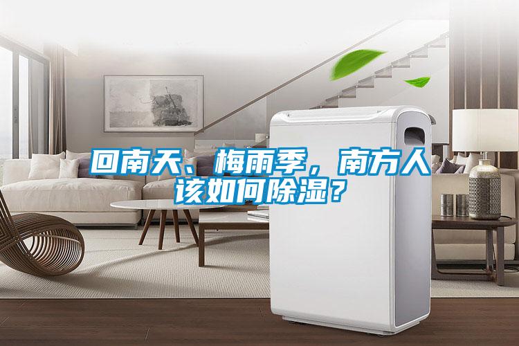 回南天、梅雨季，南方人該如何除濕？