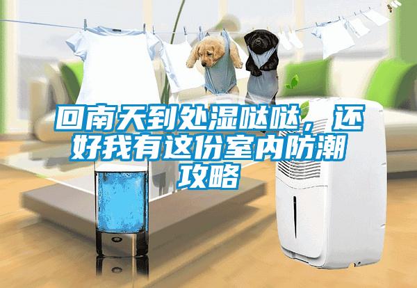 回南天到處濕噠噠，還好我有這份室內(nèi)防潮攻略