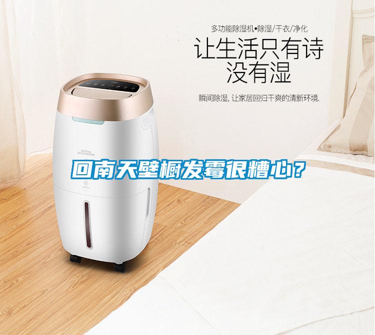 回南天壁櫥發(fā)霉很糟心？