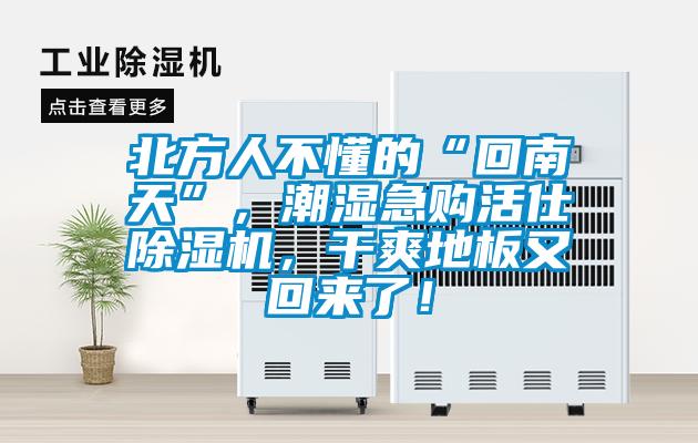 北方人不懂的“回南天”，潮濕急購活仕除濕機，干爽地板又回來了！