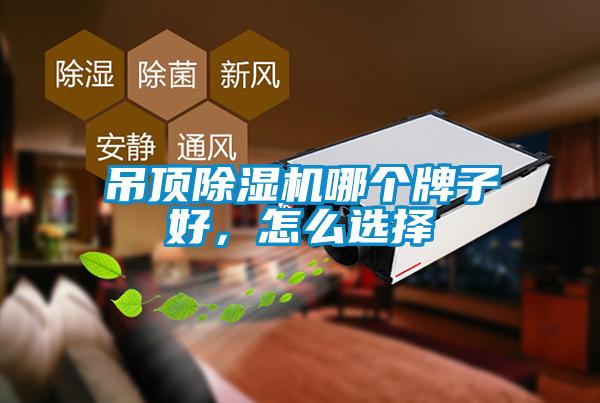 吊頂除濕機哪個牌子好，怎么選擇