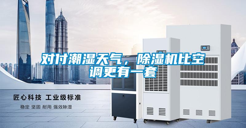 對付潮濕天氣，除濕機比空調(diào)更有一套