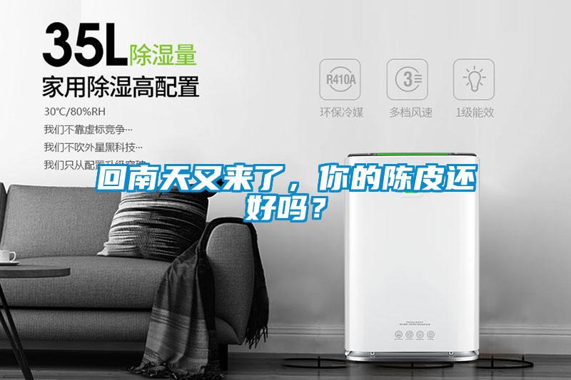 回南天又來了，你的陳皮還好嗎？
