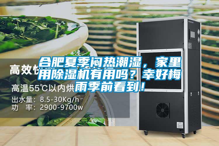 合肥夏季悶熱潮濕，家里用除濕機有用嗎？幸好梅雨季前看到！