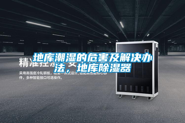 地庫(kù)潮濕的危害及解決辦法，地庫(kù)除濕器