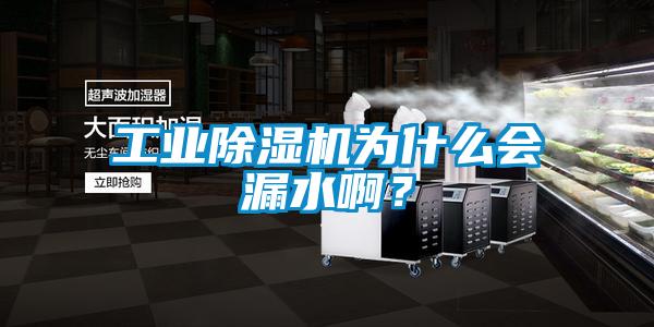 工業(yè)除濕機為什么會漏水??？
