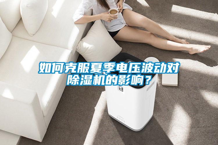 如何克服夏季電壓波動對除濕機的影響？