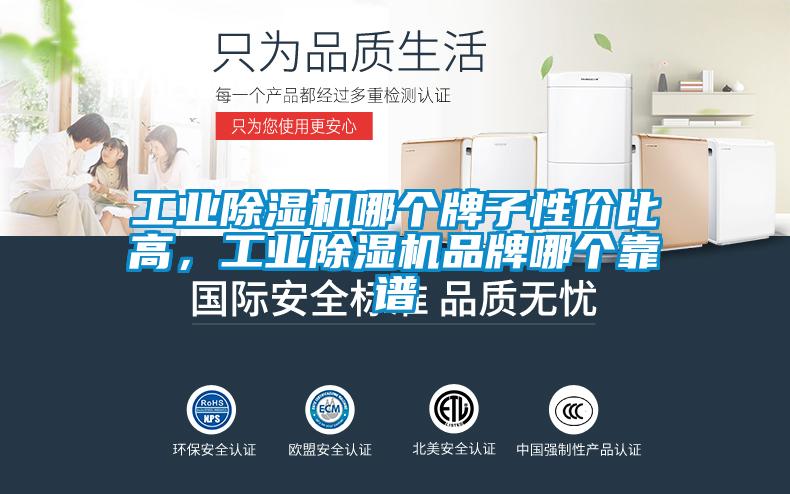 工業(yè)除濕機(jī)哪個(gè)牌子性價(jià)比高，工業(yè)除濕機(jī)品牌哪個(gè)靠譜