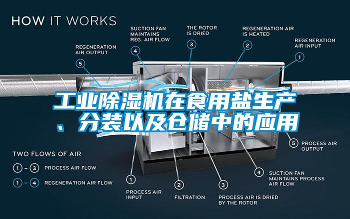 工業(yè)除濕機(jī)在食用鹽生產(chǎn)、分裝以及倉儲(chǔ)中的應(yīng)用