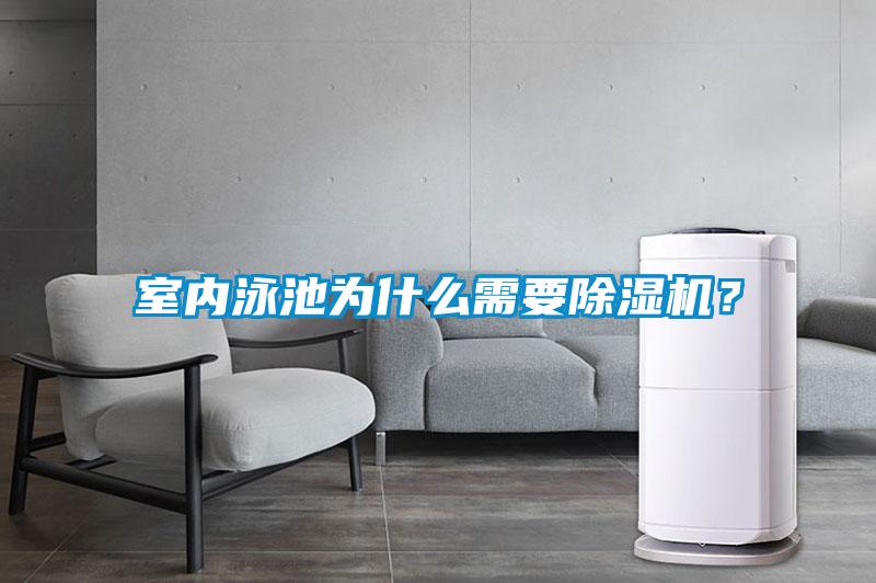 室內(nèi)泳池為什么需要除濕機？