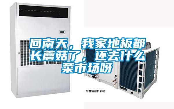 回南天，我家地板都長蘑菇了，還去什么菜市場呀