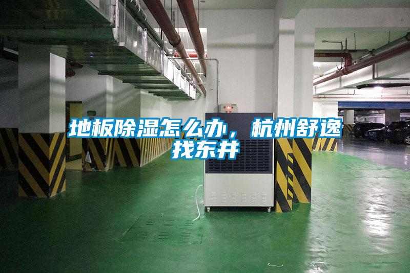 地板除濕怎么辦，杭州舒逸找東井