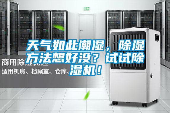 天氣如此潮濕，除濕方法想好沒？試試除濕機！