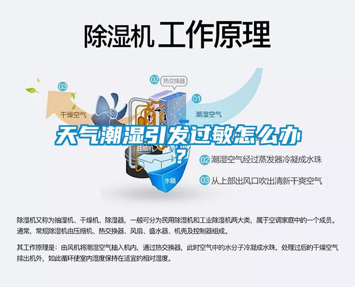 天氣潮濕引發(fā)過敏怎么辦？