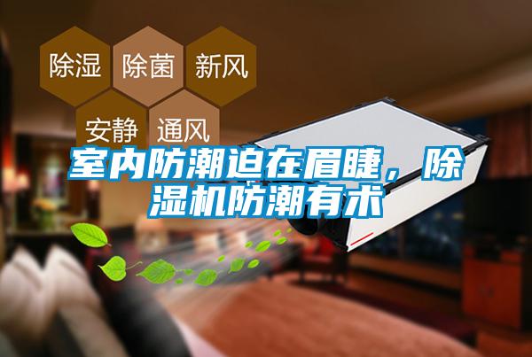 室內(nèi)防潮迫在眉睫，除濕機(jī)防潮有術(shù)
