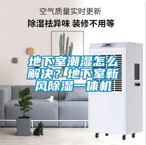 地下室潮濕怎么解決？地下室新風(fēng)除濕一體機(jī)