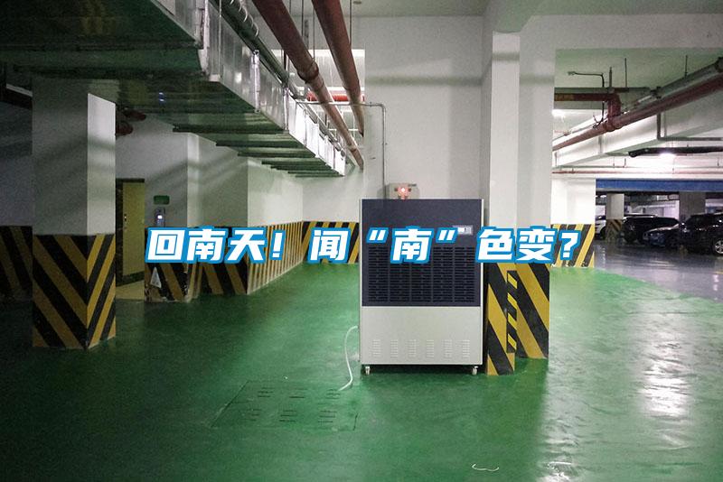 回南天！聞“南”色變？