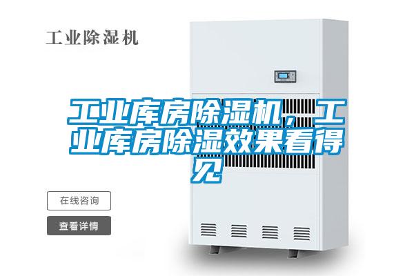 工業(yè)庫房除濕機(jī)，工業(yè)庫房除濕效果看得見