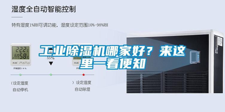 工業(yè)除濕機(jī)哪家好？來這里一看便知