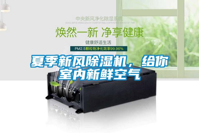夏季新風(fēng)除濕機，給你室內(nèi)新鮮空氣
