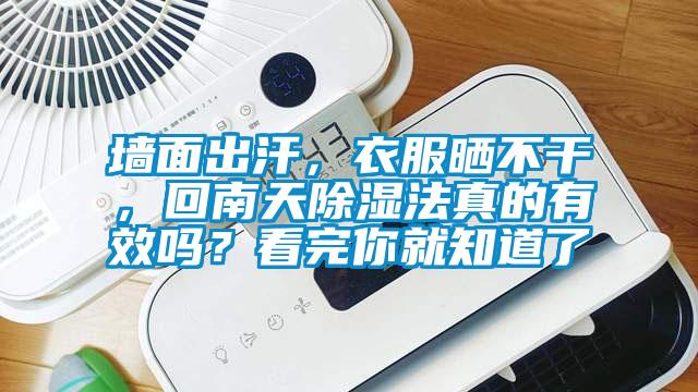 墻面出汗，衣服曬不干，回南天除濕法真的有效嗎？看完你就知道了